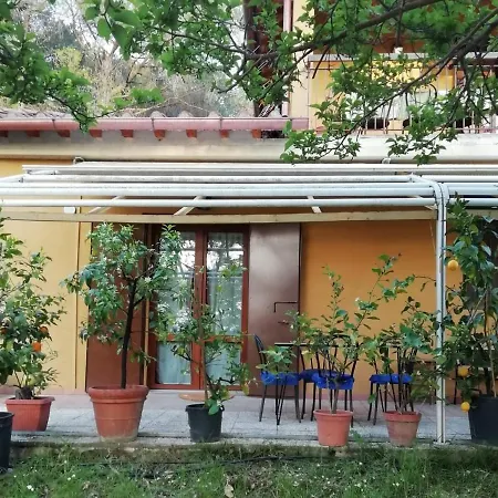 La Cantinetta Di Barberino Apartman Greve in Chianti